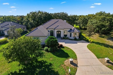 Vacant and move in ready: Meticulously Maintained Home in on Black Diamond Ranch Golf Course in Florida - for sale on GolfHomes.com, golf home, golf lot