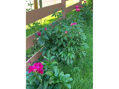 Welcome home to this impeccably maintained & updated 3 bedroom on Odana Hills Golf Course in Wisconsin - for sale on GolfHomes.com, golf home, golf lot