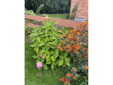 Welcome home to this impeccably maintained & updated 3 bedroom on Odana Hills Golf Course in Wisconsin - for sale on GolfHomes.com, golf home, golf lot