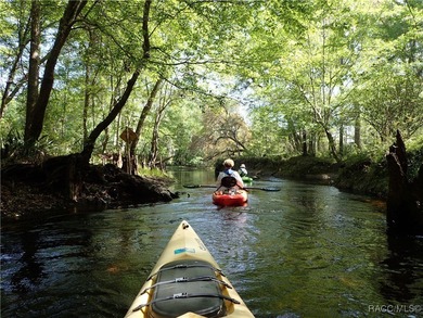Vacant and move in ready: Meticulously Maintained Home in on Black Diamond Ranch Golf Course in Florida - for sale on GolfHomes.com, golf home, golf lot