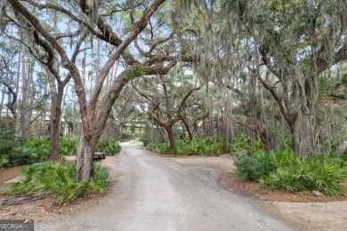 Come enjoy your personal slice of paradise in this stunning on Jekyll Island Golf Club in Georgia - for sale on GolfHomes.com, golf home, golf lot