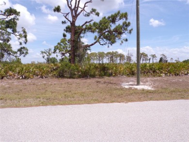 This vacant lot -- along with the adjoining lot at 34 Dorisan on Rotonda Golf and Country Club The Links Course in Florida - for sale on GolfHomes.com, golf home, golf lot