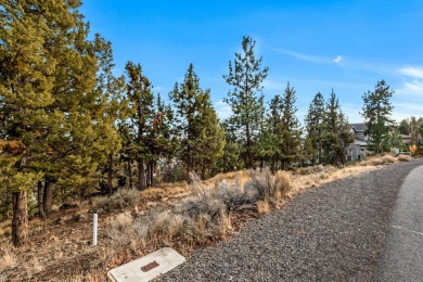 Peaceful westside setting on a quiet street among trees, natural on Rivers Edge Golf Resort in Oregon - for sale on GolfHomes.com, golf home, golf lot