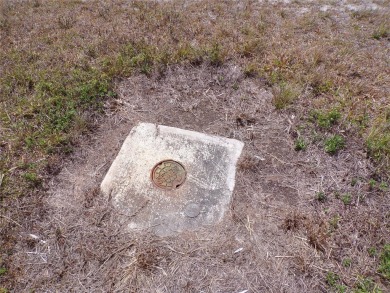 This vacant lot -- along with the adjoining lot at 30 Brig on Rotonda Golf and Country Club The Links Course in Florida - for sale on GolfHomes.com, golf home, golf lot