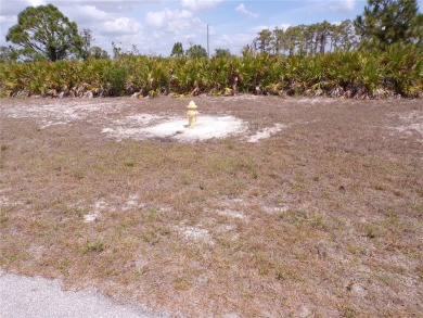 This vacant lot -- along with the adjoining lot at 30 Brig on Rotonda Golf and Country Club The Links Course in Florida - for sale on GolfHomes.com, golf home, golf lot