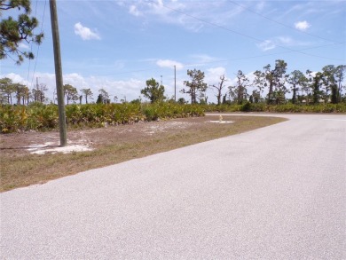 This vacant lot -- along with the adjoining lot at 30 Brig on Rotonda Golf and Country Club The Links Course in Florida - for sale on GolfHomes.com, golf home, golf lot