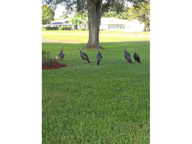 Glen Lakes Community. HOA Includes Spectrum Cable and Internet on Glen Lakes Country Club in Florida - for sale on GolfHomes.com, golf home, golf lot