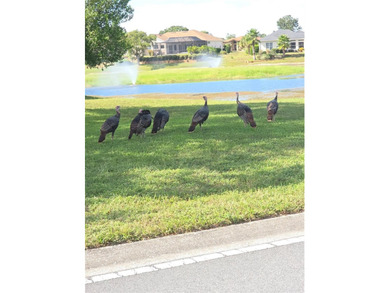 Glen Lakes Community. HOA Includes Spectrum Cable and Internet on Glen Lakes Country Club in Florida - for sale on GolfHomes.com, golf home, golf lot