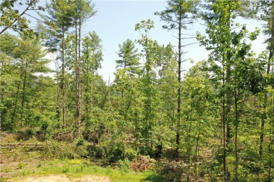 Discover 5 Acres of Possibility at The Cliffs at Keowee on The Cliffs At Keowee Vineyards Golf Club in South Carolina - for sale on GolfHomes.com, golf home, golf lot