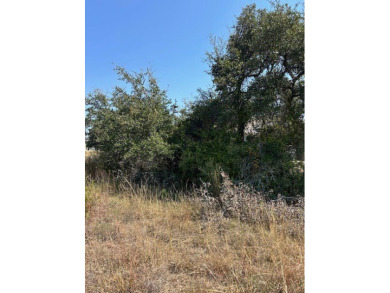 Looking for a large lot that has a great view and backs up to a on Vaaler Creek Golf Club in Texas - for sale on GolfHomes.com, golf home, golf lot