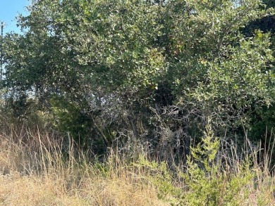 Looking for a large lot that has a great view and backs up to a on Vaaler Creek Golf Club in Texas - for sale on GolfHomes.com, golf home, golf lot