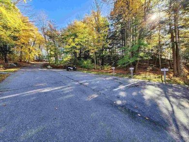 Welcome to this beautifully updated 3-bed, 2.5-bath condo on Quechee Club in Vermont - for sale on GolfHomes.com, golf home, golf lot