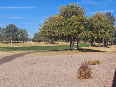 Stunning Views From Front & Back! Big Beautiful Golf Course Home on Viewpoint Golf Resort in Arizona - for sale on GolfHomes.com, golf home, golf lot