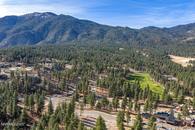 This sunny, gently sloping 0.846-acre parcel captures sweeping on Clear Creek Tahoe in Nevada - for sale on GolfHomes.com, golf home, golf lot