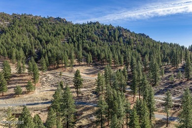 This sunny, gently sloping 0.846-acre parcel captures sweeping on Clear Creek Tahoe in Nevada - for sale on GolfHomes.com, golf home, golf lot