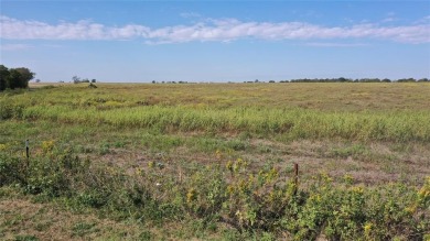 If you've been searching for wide-open space, peaceful country on Battle Lake Golf Course in Texas - for sale on GolfHomes.com, golf home, golf lot