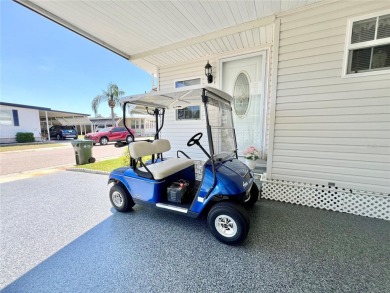 READY FOR IMMEDIATE OCCUPANCY! Make your offer today! This 2 on Fairway Village Golf Course in Florida - for sale on GolfHomes.com, golf home, golf lot