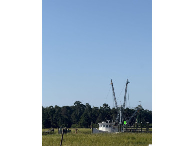 Charming 3-Bedroom Home in Rivergate - 55+ Community  Welcome to on The Valley At Eastport in South Carolina - for sale on GolfHomes.com, golf home, golf lot