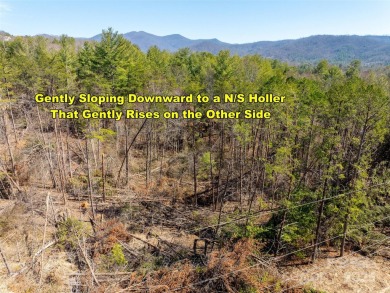 Imagine the endless opportunities awaiting you with this on Reems Creek Golf Club in North Carolina - for sale on GolfHomes.com, golf home, golf lot
