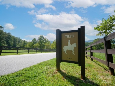 Beautiful building lot with big, bold mountain viewse build your on Brights Creek Golf Course in North Carolina - for sale on GolfHomes.com, golf home, golf lot