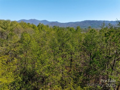 Imagine the endless opportunities awaiting you with this on Reems Creek Golf Club in North Carolina - for sale on GolfHomes.com, golf home, golf lot