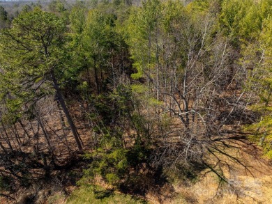 Imagine the endless opportunities awaiting you with this on Reems Creek Golf Club in North Carolina - for sale on GolfHomes.com, golf home, golf lot