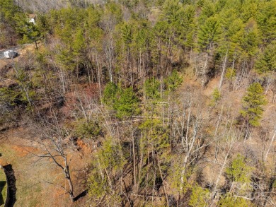 Imagine the endless opportunities awaiting you with this on Reems Creek Golf Club in North Carolina - for sale on GolfHomes.com, golf home, golf lot