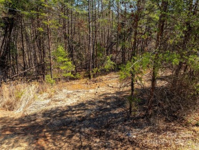 Imagine the endless opportunities awaiting you with this on Reems Creek Golf Club in North Carolina - for sale on GolfHomes.com, golf home, golf lot