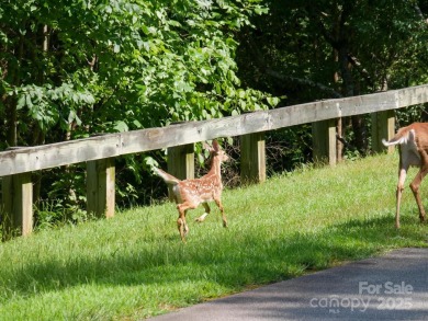 Beautiful building lot with big, bold mountain viewse build your on Brights Creek Golf Course in North Carolina - for sale on GolfHomes.com, golf home, golf lot