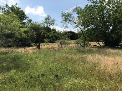 Over half an acre located within a rapidly developing 24-7 gated on White Bluff Resort - Old Course in Texas - for sale on GolfHomes.com, golf home, golf lot