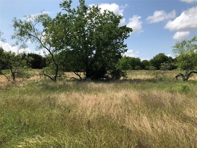 Over half an acre located within a rapidly developing 24-7 gated on White Bluff Resort - Old Course in Texas - for sale on GolfHomes.com, golf home, golf lot