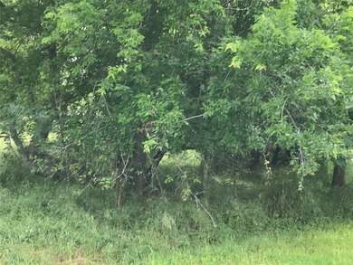 Build Your Dream in the Premier POA Community of White Bluff on White Bluff Resort - Old Course in Texas - for sale on GolfHomes.com, golf home, golf lot