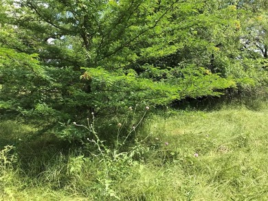 Build Your Dream in the Premier POA Community of White Bluff on White Bluff Resort - Old Course in Texas - for sale on GolfHomes.com, golf home, golf lot