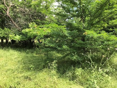 Build Your Dream in the Premier POA Community of White Bluff on White Bluff Resort - Old Course in Texas - for sale on GolfHomes.com, golf home, golf lot