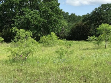 Exceptional opportunity to own a nearly 1-acre lot ideally on White Bluff Resort - Old Course in Texas - for sale on GolfHomes.com, golf home, golf lot