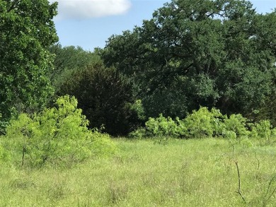 Exceptional opportunity to own a nearly 1-acre lot ideally on White Bluff Resort - Old Course in Texas - for sale on GolfHomes.com, golf home, golf lot