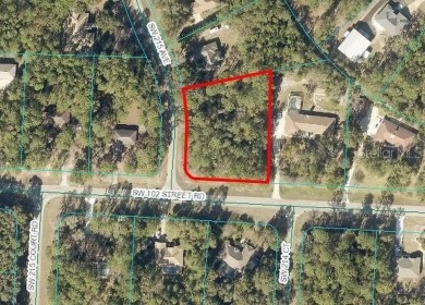 Discover this remarkable corner lot exceeding one acre in a on Rainbows End Golf Club in Florida - for sale on GolfHomes.com, golf home, golf lot