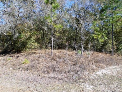 Discover this remarkable corner lot exceeding one acre in a on Rainbows End Golf Club in Florida - for sale on GolfHomes.com, golf home, golf lot