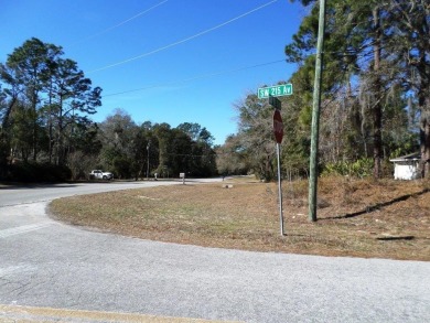 Discover this remarkable corner lot exceeding one acre in a on Rainbows End Golf Club in Florida - for sale on GolfHomes.com, golf home, golf lot