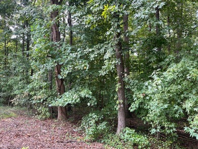 Nice building lot which is almost half an acre. Perfect for your on The Trail At Chickasaw Pointe in South Carolina - for sale on GolfHomes.com, golf home, golf lot