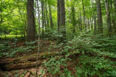 Looking to build your dream home on the Golf Course? Here is on The Clubs of Olde Mill in Virginia - for sale on GolfHomes.com, golf home, golf lot