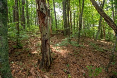 Looking to build your dream home on the Golf Course? Here is on The Clubs of Olde Mill in Virginia - for sale on GolfHomes.com, golf home, golf lot