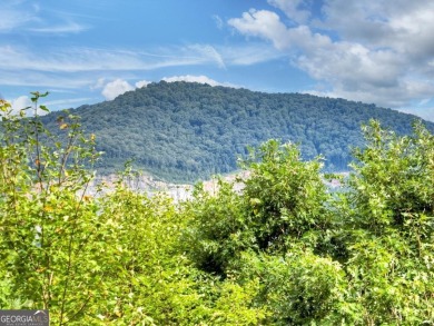 This charming 3BR/3BA RANCH HOME offers year-round MOUNTAIN on White Path Golf Club in Georgia - for sale on GolfHomes.com, golf home, golf lot