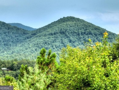 This charming 3BR/3BA RANCH HOME offers year-round MOUNTAIN on White Path Golf Club in Georgia - for sale on GolfHomes.com, golf home, golf lot