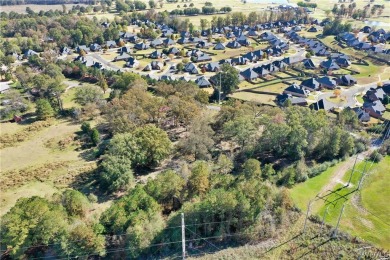 Proposed Commercial property available within close proximity of on Bent Brook Golf Course in Alabama - for sale on GolfHomes.com, golf home, golf lot
