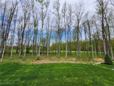 Stunning Ranch in Quail Hollow -- Fully Upgraded with Luxury on Quail Hollow Resort and Country Club in Ohio - for sale on GolfHomes.com, golf home, golf lot