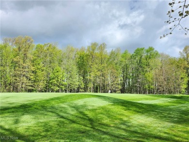 Stunning Ranch in Quail Hollow -- Fully Upgraded with Luxury on Quail Hollow Resort and Country Club in Ohio - for sale on GolfHomes.com, golf home, golf lot