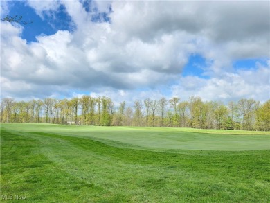 Stunning Ranch in Quail Hollow -- Fully Upgraded with Luxury on Quail Hollow Resort and Country Club in Ohio - for sale on GolfHomes.com, golf home, golf lot