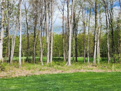 Stunning Ranch in Quail Hollow -- Fully Upgraded with Luxury on Quail Hollow Resort and Country Club in Ohio - for sale on GolfHomes.com, golf home, golf lot