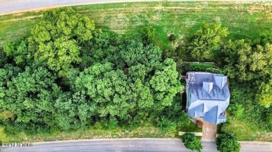 Take advantage of this amazing view and gorgeous sunsets in TN on Tennessee National Golf Club in Tennessee - for sale on GolfHomes.com, golf home, golf lot